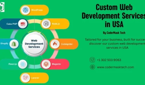Custom Web Development Services in the USA