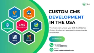 Custom CMS Development in the USA