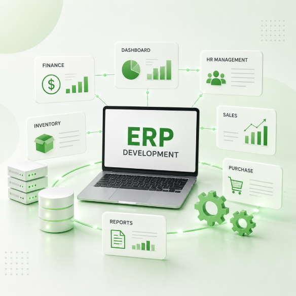 erp development (1)