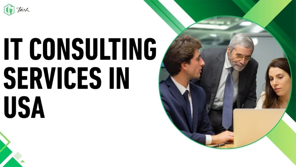 IT Consulting Services in USA