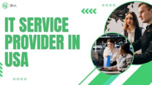 IT Service Provider in USA